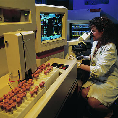 Wall Art - Photograph - Pathologist Examines Slides Under A Microscope by Science Photo Library