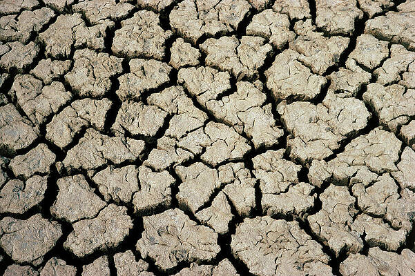 Wall Art - Photograph - Pattern Of Cracks In Dried Mud by Science Photo Library