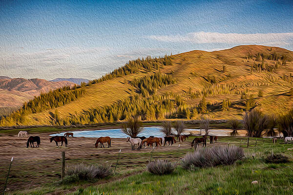 Wall Art - Painting - Patterson Mountain Afternoon View by Omaste Witkowski