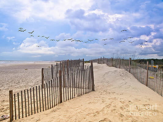 Pawleys Island Beach Scene by Mike Covington Pawleys Island Beach Scene by Mike Covington