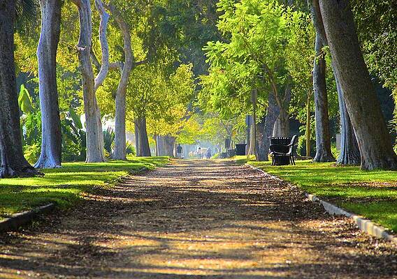 Peaceful Path by Kevin Itsaboutvision Peaceful Path by Kevin Itsaboutvision