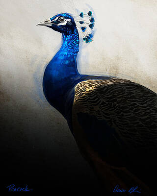 Wall Art - Digital Art - Peacock Portrait by Aaron Blaise
