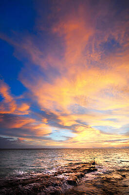 Wall Art - Photograph - Peacock Sunset. Maldives by Jenny Rainbow