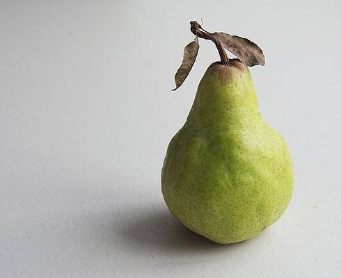 Pear still life protrait by Jocelyn Friis Pear still life protrait by Jocelyn Friis