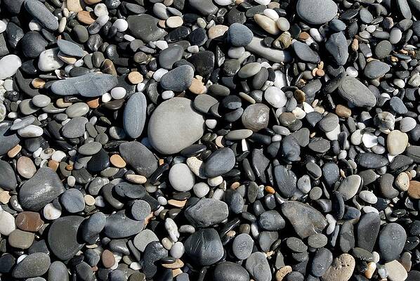 Wall Art - Photograph - Pebbles On A Beach by Science Photo Library