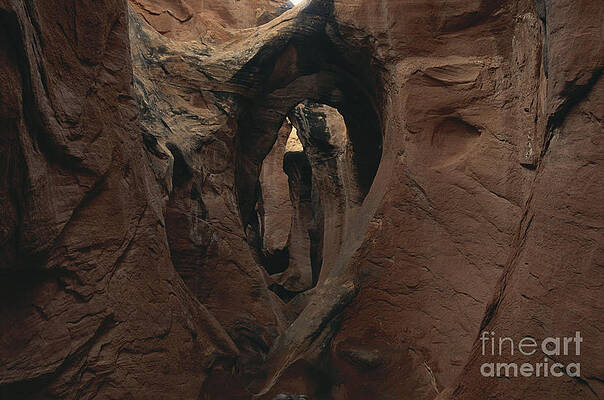 Wall Art - Photograph - Peek-a-boo Gulch, Utah by Mark Newman