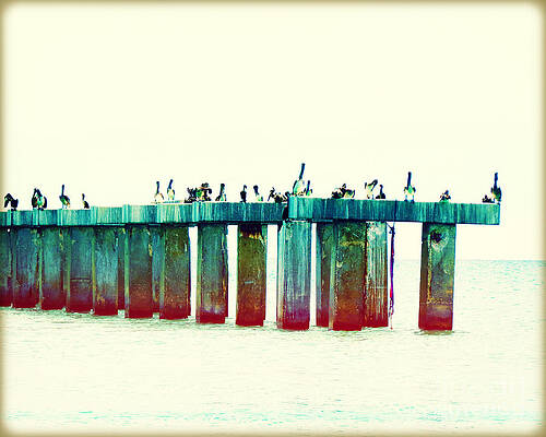 Pelican Bridge IIII by Chris Andruskiewicz Pelican Bridge IIII by Chris Andruskiewicz