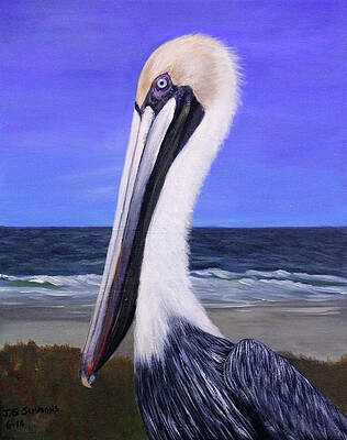 Pelican by Janet Greer Sammons Pelican by Janet Greer Sammons