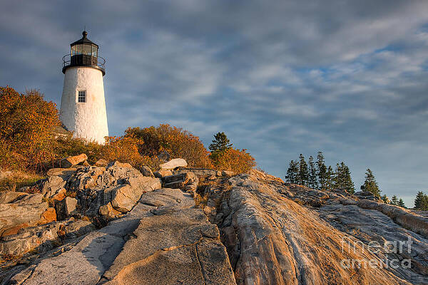 Wall Art featuring the photograph Pemaquid Point Light VI by Clarence Holmes