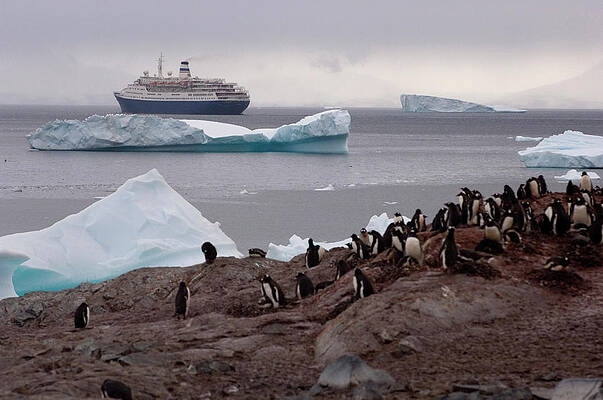 Wall Art - Photograph - Penguins Look On As A Cruise Ship Pulls by Peter McBride