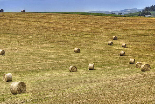 Wall Art - Photograph - Pennsylvania Summer by Arthur Fix