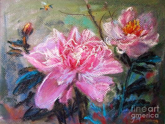 Peony by Jieming Wang