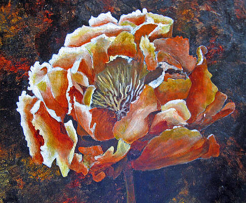 Peony by Karen Stark Peony by Karen Stark