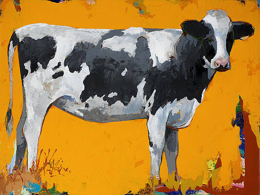 Cow Paintings  Fine Art America