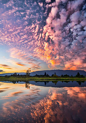 Wall Art - Photograph - Perfect Pink by James Wheeler