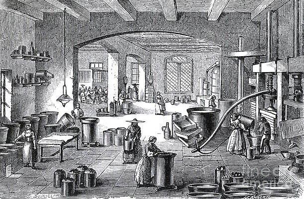 Wall Art - Photograph - Perfume Factory, 19th Century by Science Source