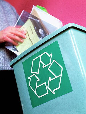 Wall Art - Photograph - Person Placing Paper In A Recycling Bin by Science Photo Library