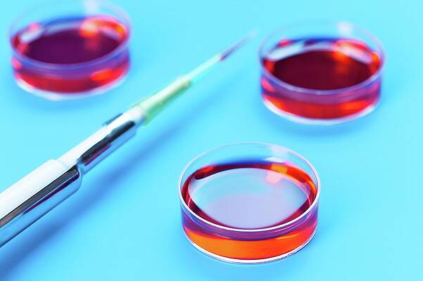 Micropipette Art - Fine Art America