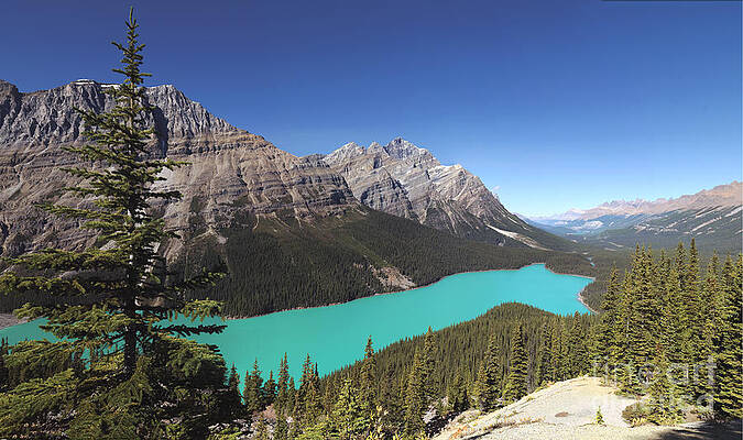 Peyto Lake by Frank Wicker Peyto Lake by Frank Wicker