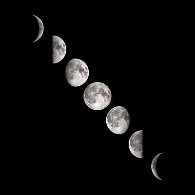 Wall Art - Photograph - Phases Of The Moon by Science Photo Library