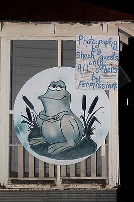 Photography by Permission by Suzanne McClain Photography by Permission by Suzanne McClain