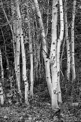 Photography by Jim McMahen