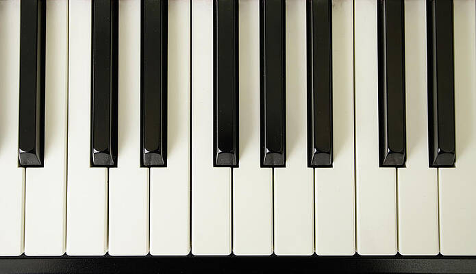 piano keys drawings black white