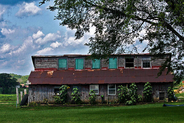 piggery by Jp Grace piggery by Jp Grace