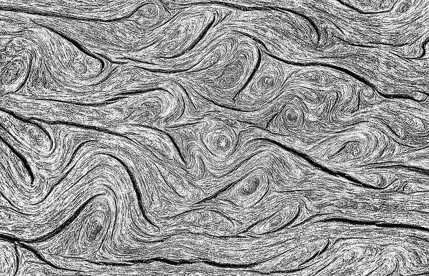 Wall Art - Photograph - Pine Bark Abstract by Britt Runyon