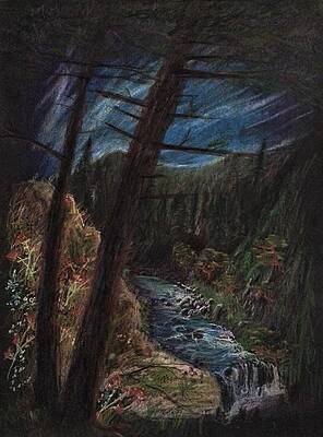 Pine Forest Brook by Alan Schwartz Pine Forest Brook by Alan Schwartz