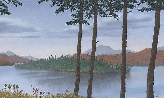 Pine Island by Peter Rashford Pine Island by Peter Rashford