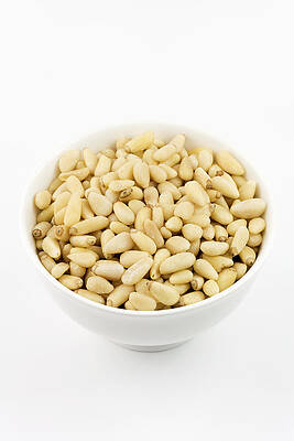 Wall Art - Photograph - Pine Nuts by Science Photo Library