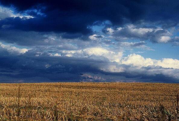 Plain Sky by Rodney Lee Williams Plain Sky by Rodney Lee Williams