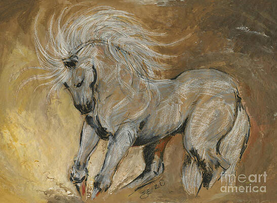 Plains Spirit by Steven Nakamura Plains Spirit by Steven Nakamura