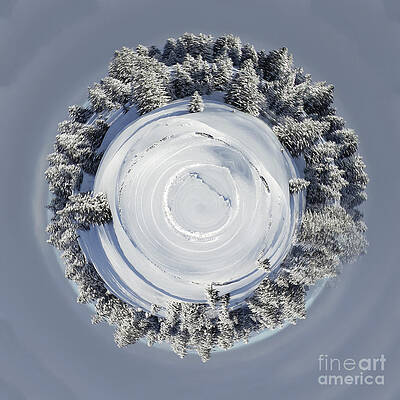 Wall Art - Photograph - Planet Of Beautiful Fir Trees Covered by Elena Duvernay
