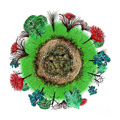 Wall Art - Photograph - Planet of trees  cross section by Simon Bratt