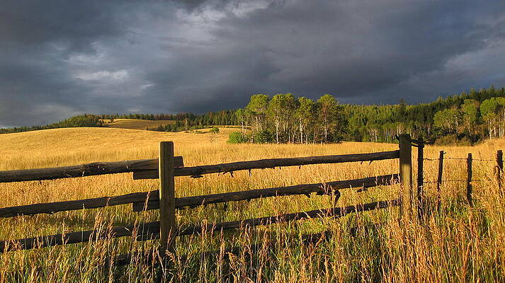 Plateau near Princton BC by Kate Gibson Oswald Plateau near Princton BC by Kate Gibson Oswald