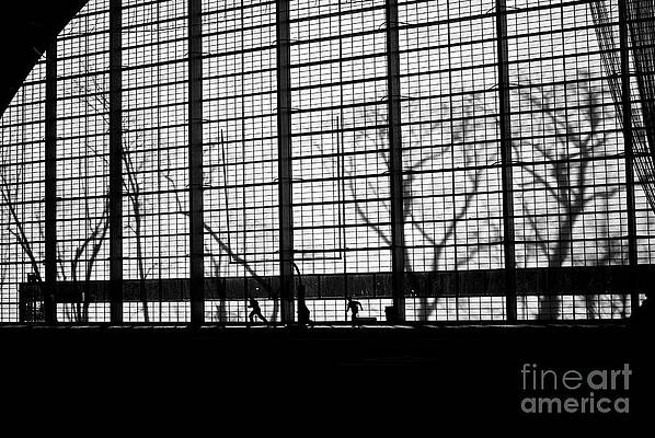 Wall Art - Photograph - Playing In The Pavilion by Frank J Casella