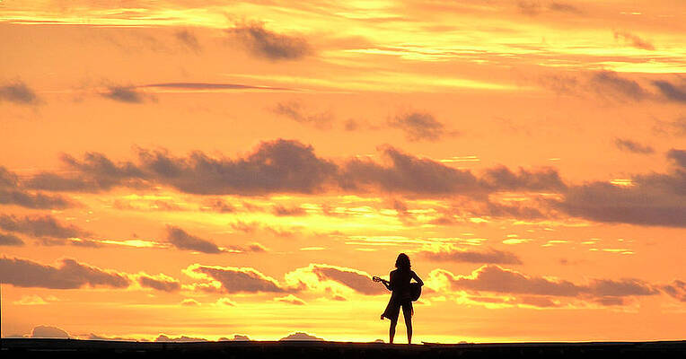 Playing to the Sun by Dreamland Media Playing to the Sun by Dreamland Media