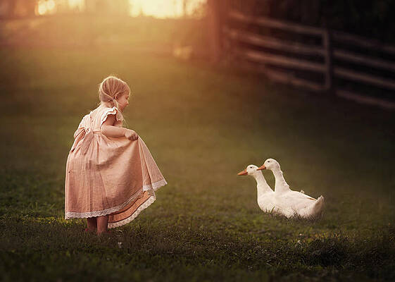 Wall Art - Photograph - Pleased To Meet You by Annie Whitehead