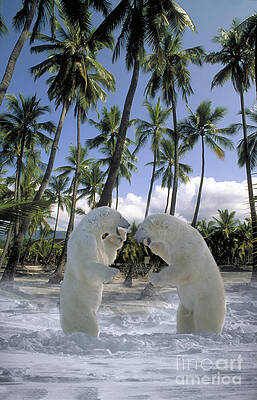 Wall Art - Photograph - Polar Tropics by Mike Agliolo