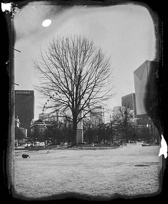 Polaroid Scan Tree by Jessy Vargas