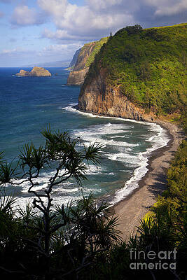 Pololu by Aaron Whittemore Pololu by Aaron Whittemore