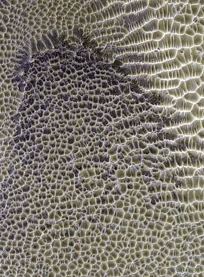 Wall Art - Photograph - Polygonal Dunes On Mars by Science Photo Library