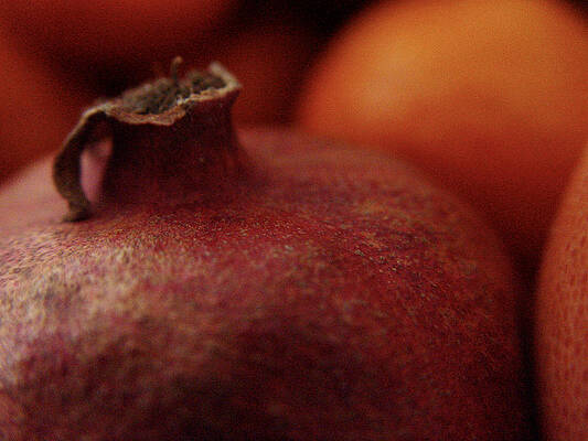 Pomegranate Still Life by Noa Mohlabane Pomegranate Still Life by Noa Mohlabane