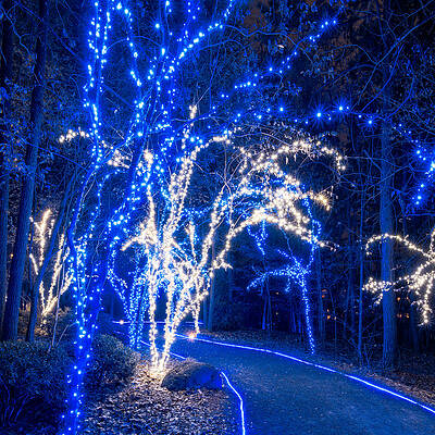 Wall Art - Photograph - Pond Path by Daniel George