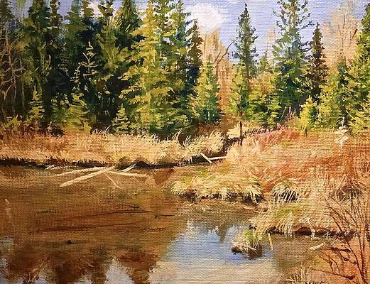 Pond Reflections by Walt Maes Pond Reflections by Walt Maes