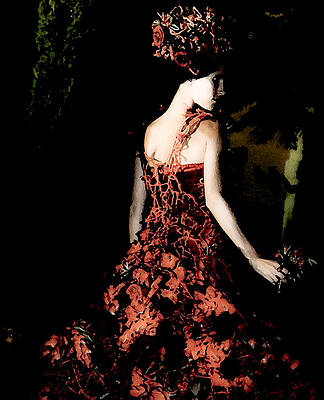 Poppies 01 by MS KingS Poppies 01 by MS KingS