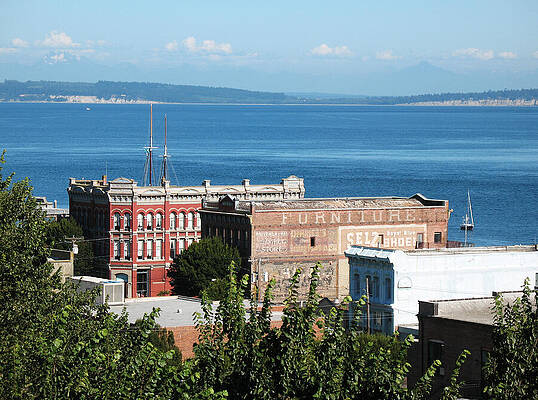Port Townsend From the Bell Tower by Connie Fox Port Townsend From the Bell Tower by Connie Fox