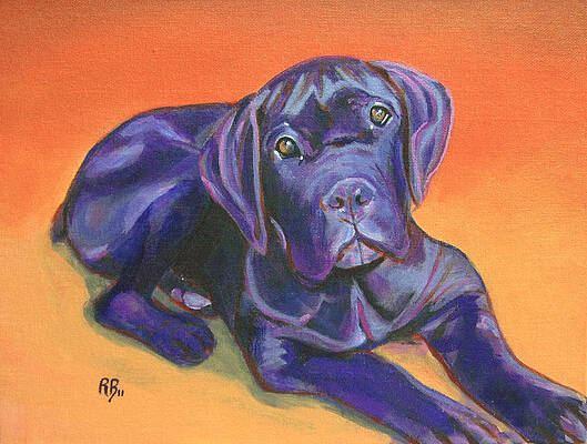Portrait of a Black Puppy of Cane Corso - Italian Mastiff by Robie Benve Portrait of a Black Puppy of Cane Corso - Italian Mastiff by Robie Benve